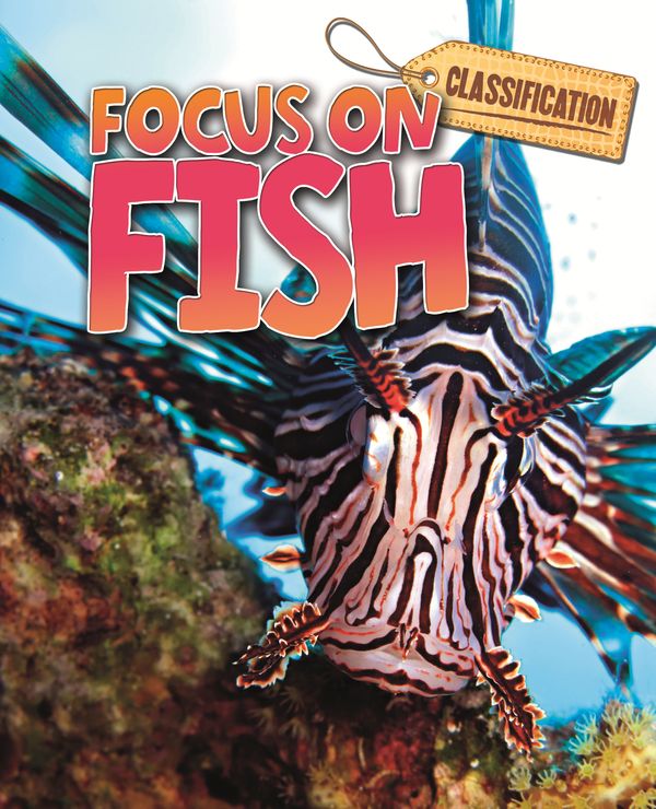 Cover Art for 9780750279932, Classification: Focus on: Fish by Stephen Savage