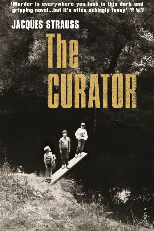 Cover Art for 9780099597728, The Curator by Jacques Strauss