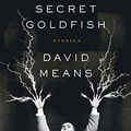 Cover Art for 9780007164899, The Secret Goldfish by David Means