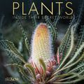 Cover Art for 9780744048438, The Science of Plants: Inside Their Secret World by DK