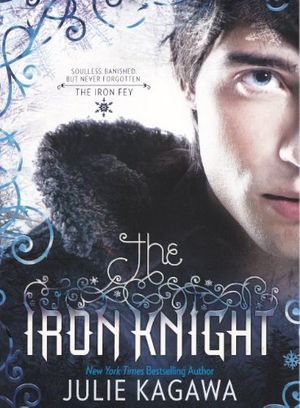 Cover Art for 9780606232593, The Iron Knight by Unknown