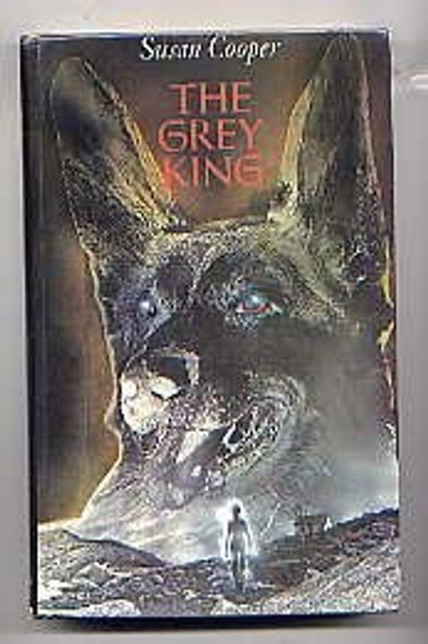 Cover Art for 9781850899358, The Grey King by Susan Cooper