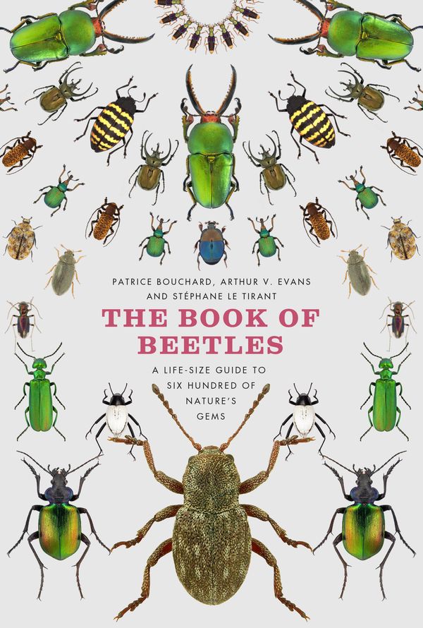 Cover Art for 9780226082899, The Book of Beetles by Patrice Bouchard