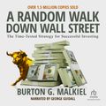 Cover Art for 9781501974625, A Random Walk Down Wall Street by Burton Malkiel