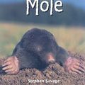 Cover Art for 9781404245662, Mole by Stephen Savage