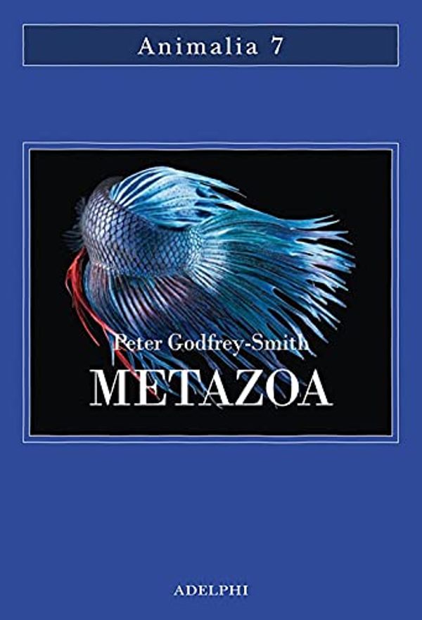Cover Art for 9788845936210, Metazoa. Gli animali e la nascita della mente by Godfrey-Smith, Peter