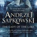 Cover Art for B01M4GH0GS, The Lady of the Lake by Andrzej Sapkowski