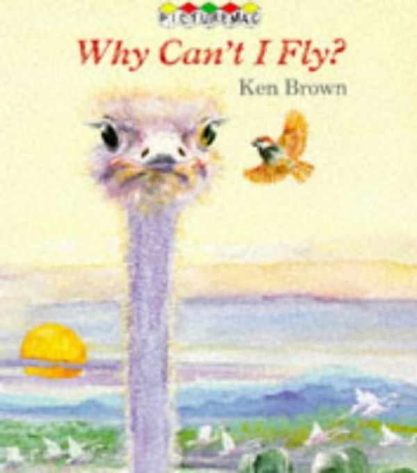 Cover Art for 9780333537855, Why Can't I Fly? by Ken Brown