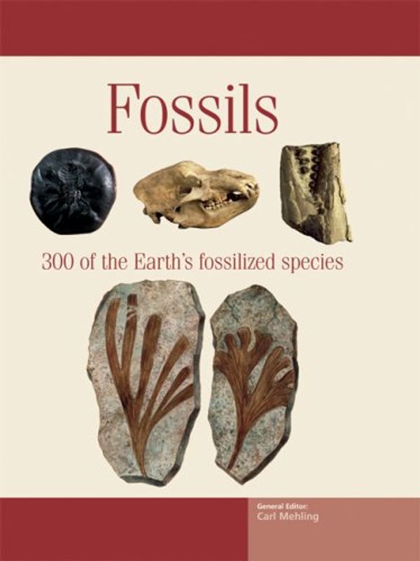 Cover Art for 9781592237371, Fossils by Unknown
