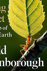 Cover Art for B09BK3Q94H, Living Planet by David Attenborough