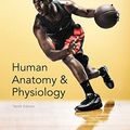 Cover Art for 9788900720440, Human Anatomy & Physiology 10th Edition Plus Mastering A&P with eText Access Card Package[Human Anatomy Physiology Tenth Edition] by Elaine N. Marieb, Katja Hoehn (9780321927026)(0321927028) by Elaine N. Marieb