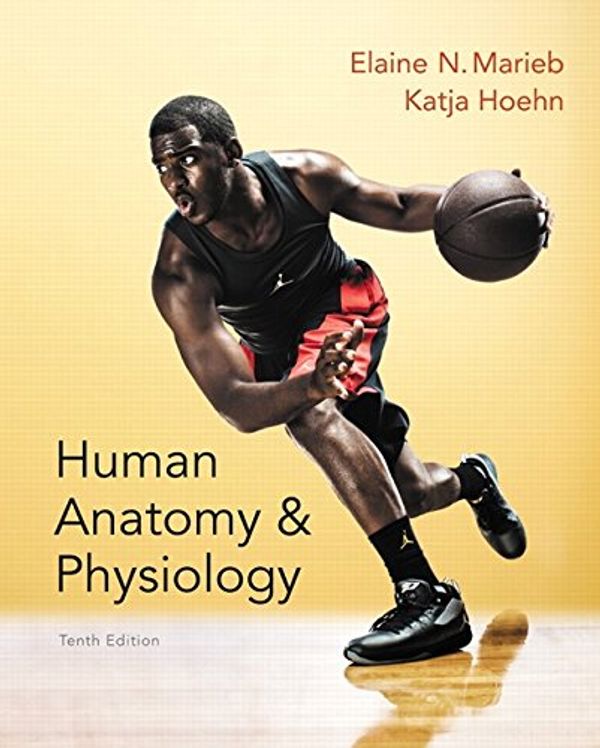 Cover Art for 9788900720440, Human Anatomy & Physiology 10th Edition Plus Mastering A&P with eText Access Card Package[Human Anatomy Physiology Tenth Edition] by Elaine N. Marieb, Katja Hoehn (9780321927026)(0321927028) by Elaine N. Marieb
