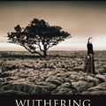 Cover Art for 9781908533036, Wuthering Heights by Emily Bronte