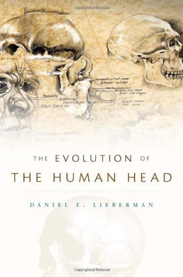 Cover Art for B01FEKEC0E, The Evolution of the Human Head by Daniel E. Lieberman(2011-01-03) by Daniel E. Lieberman