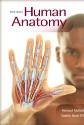 Cover Art for 9780077361365, Human Anatomy by Michael P. McKinley
