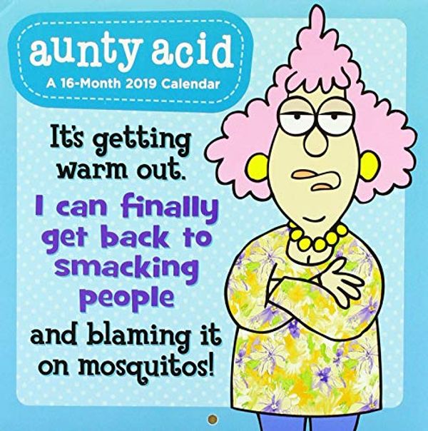 Cover Art for 9781635716733, Aunty Acid 2019 Calendar by ACCO Brands