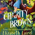 Cover Art for 9781529075656, The Misunderstandings of Charity Brown by Elizabeth Laird