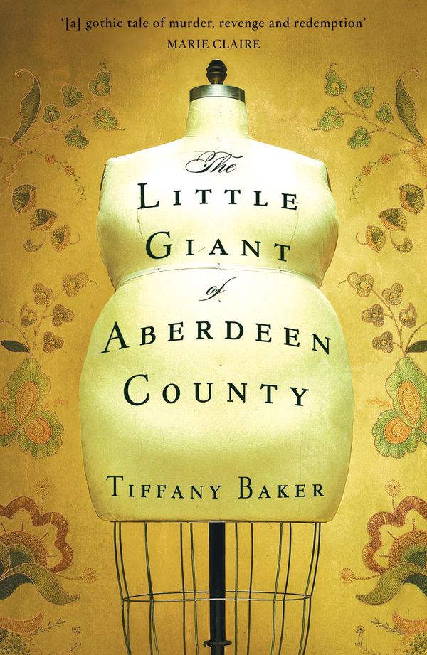 Cover Art for 9780340919286, The Little Giant of Aberdeen County by Tiffany Baker