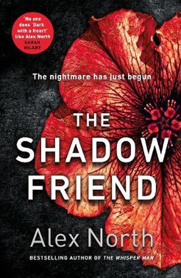 Cover Art for 9781405939287, The Shadow Friend by Alex North