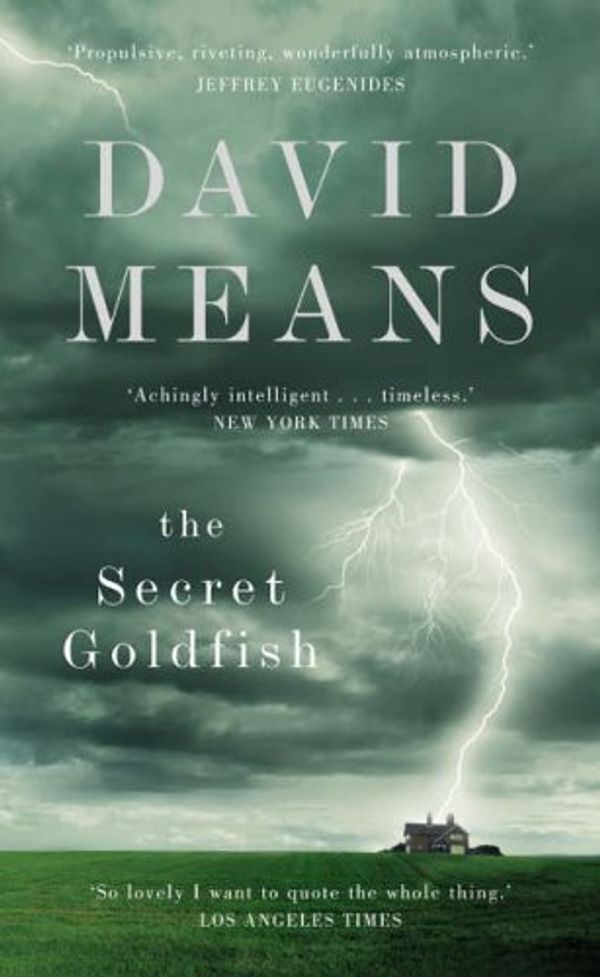 Cover Art for 9780007164875, The Secret Goldfish by David Means