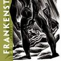 Cover Art for 9780486470535, Frankenstein: The Lynd Ward Illustrated Edition by Mary Shelley