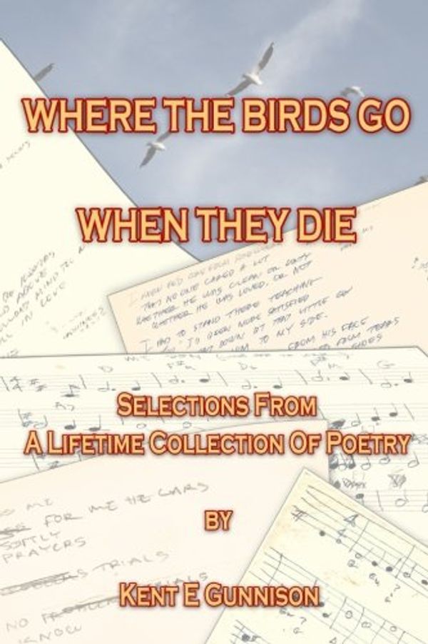 Cover Art for 9781548377632, Where the Birds Go When They Die by Mr Kent E Gunnison