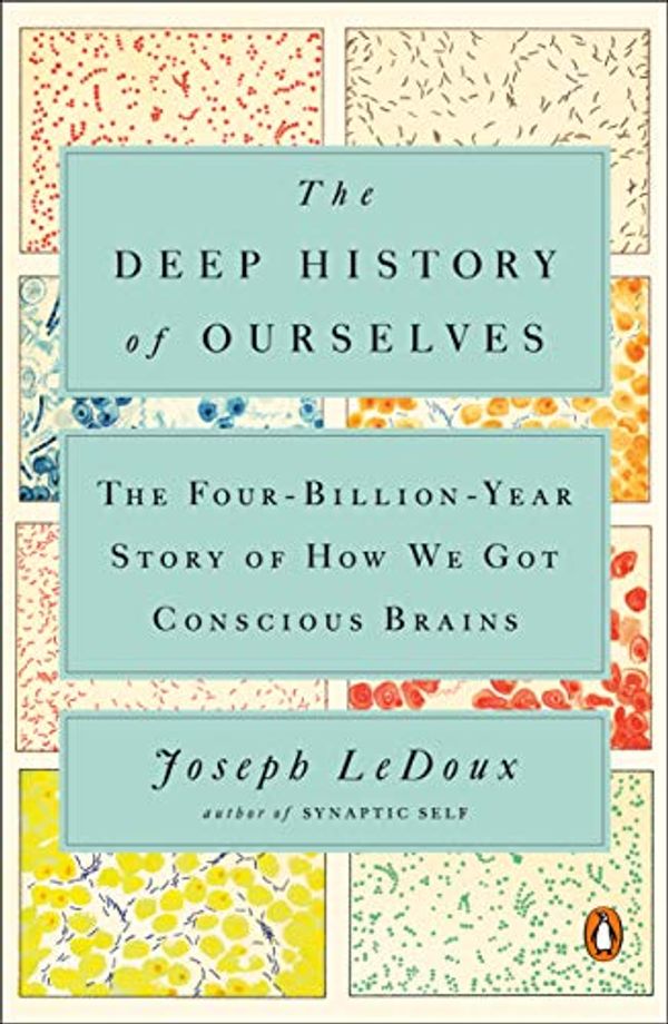 Cover Art for B07FC1HM7K, The Deep History of Ourselves: The Four-Billion-Year Story of How We Got Conscious Brains by Joseph Ledoux