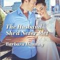 Cover Art for 9780373743704, The Husband She'd Never Met (Harlequin Romance Large Print) by Barbara Hannay