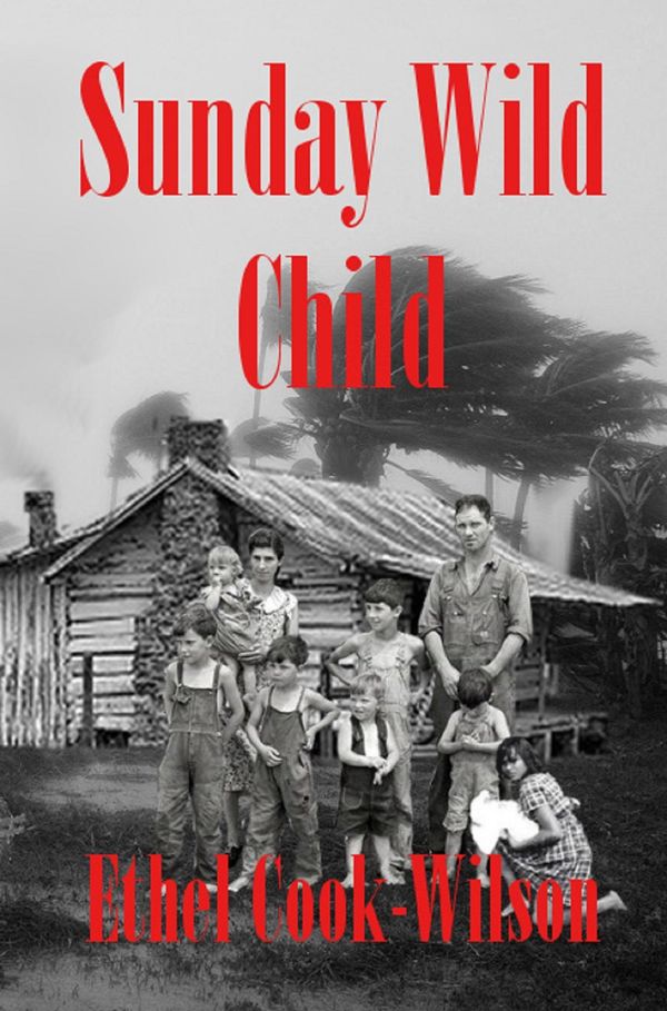 Cover Art for 9781370633722, Sunday Wild Child by Ethel Cook-Wilson