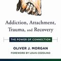 Cover Art for B07WJXZ698, Addiction, Attachment, Trauma and Recovery: The Power of Connection (Norton Series on Interpersonal Neurobiology) by Oliver J. Morgan