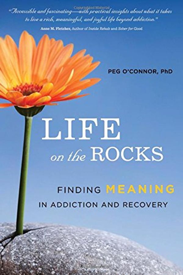 Cover Art for 9781942094029, Life on the RocksFinding Meaning in Addiction Recovery by Peg O'Connor