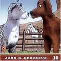 Cover Art for 9780670884179, Every Dog Has His Day by John R. Erickson