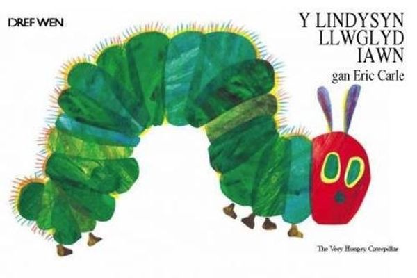 Cover Art for 9781855968905, The Lindysyn Llwglyd Iawn, Y/Very Hungry Caterpillar by Eric Carle