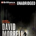 Cover Art for 9781611061918, Burnt Sienna by David Morrell