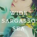 Cover Art for 9780393352566, Wide Sargasso Sea by Jean Rhys