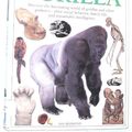 Cover Art for 9780679973324, Gorilla, Monkey & Ape by Ian Redmond