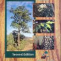 Cover Art for 9780975214619, Australian Timbers: Timber Species of Eastern Subtropical Australia v. 1 by Ashley Sewell, Ernie Rider, Jan Tilden, Glen Leipelt