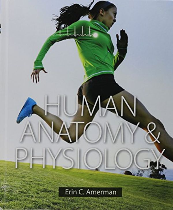Cover Art for 9780134318219, Human Anat & Phys Hum &lab Fetal Pig &photo Pkg by Erin C. Amerman, Elaine Nicpon Marieb, Lori A. Smith, Nora Hebert, Ruth E. Heisler