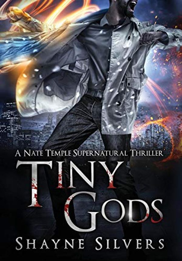 Cover Art for 9780998085494, Tiny GodsA Nate Temple Supernatural Thriller Book 6 by Shayne Silvers