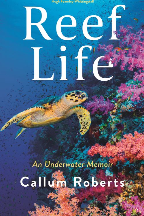 Cover Art for 9781788162159, Reef Life by Callum Roberts
