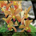 Cover Art for 9781591430582, Sacred Plant Medicine by Stephen Harrod Buhner