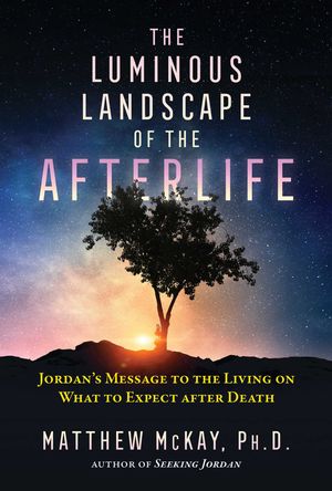 Cover Art for 9781644112847, The Luminous Landscape of the Afterlife: Jordan's Message to the Living on What to Expect After Death by Matthew McKay