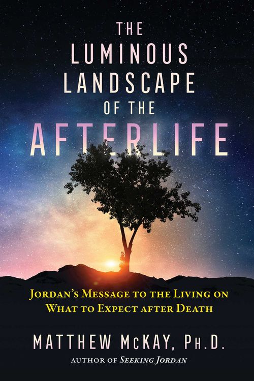 Cover Art for 9781644112847, The Luminous Landscape of the Afterlife: Jordan's Message to the Living on What to Expect After Death by Matthew McKay