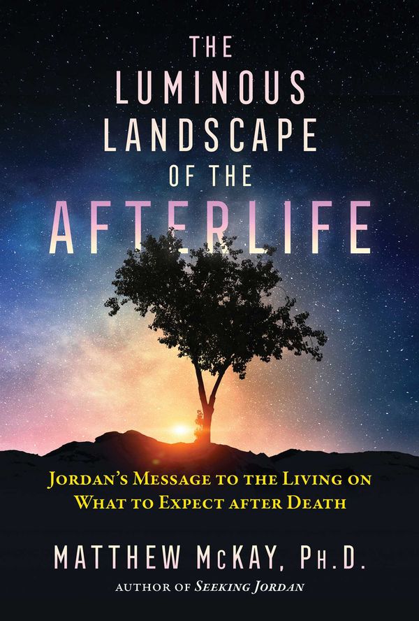 Cover Art for 9781644112847, The Luminous Landscape of the Afterlife: Jordan's Message to the Living on What to Expect After Death by Matthew McKay