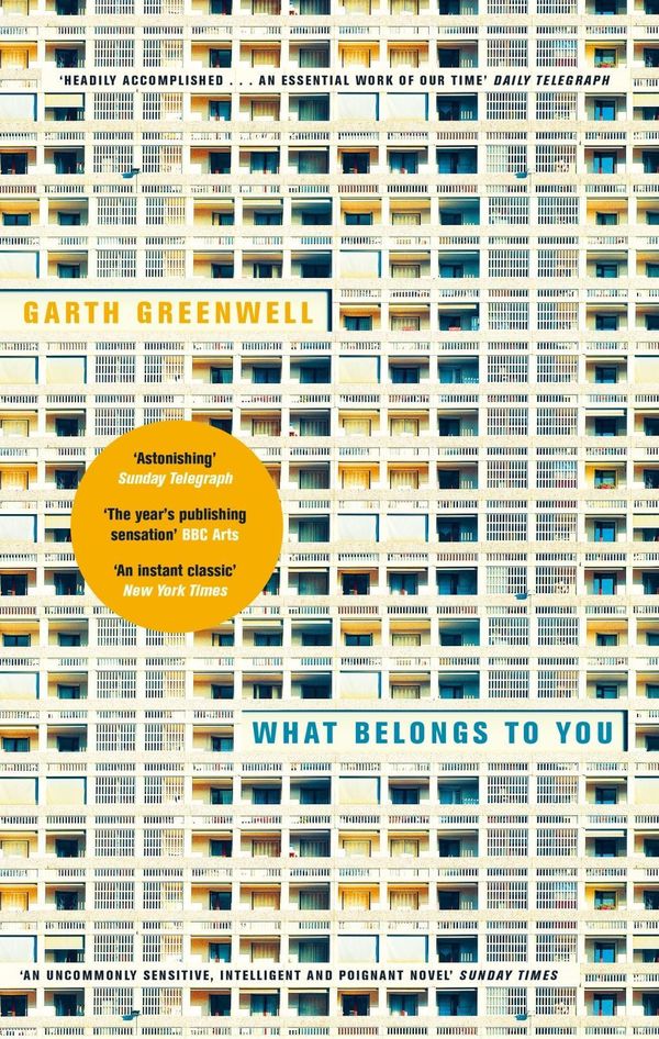 Cover Art for 9781447280514, What Belongs to You by Garth Greenwell