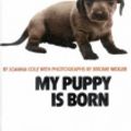 Cover Art for 9780718828615, My Puppy is Born by Joanna Cole, Margaret Miller