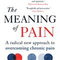 Cover Art for 9781780723914, The Meaning of Pain by Nick Potter