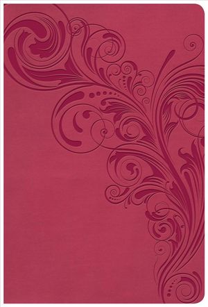 Cover Art for 9781535954075, KJV Giant Print Reference Bible, Pink LeatherTouch, Indexed by Csb Bibles by Holman, Bibles by Holm, CSB