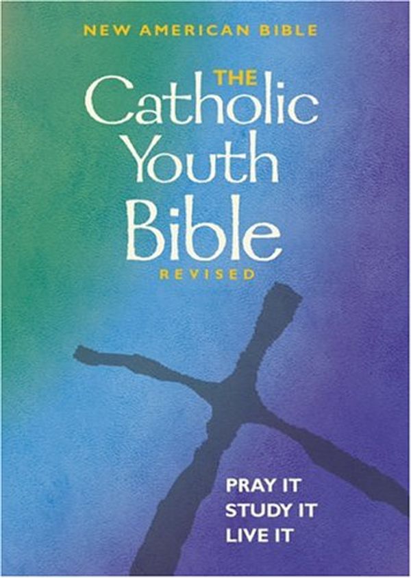 Cover Art for 9780884897446, The Catholic Youth Bible by Brian Singer-Towns