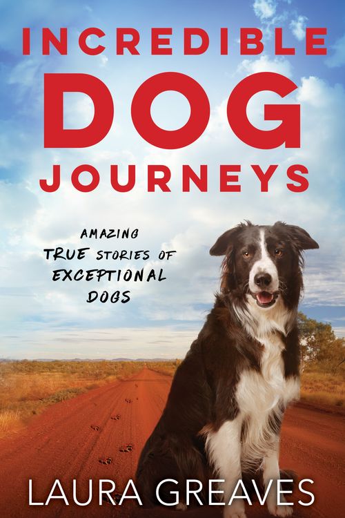 Cover Art for 9780143797258, Incredible Dog Journeys by Laura Greaves